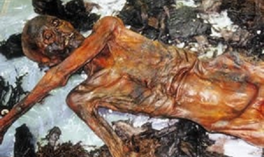 Mumya Araştırmaları Enstitüsü Başkanı