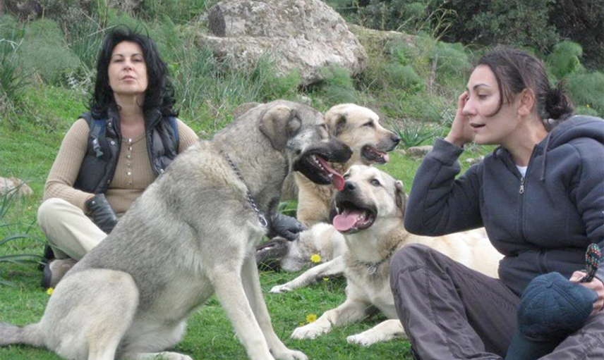 Bir Dönemin Rock'çısı Özlem Tekin'in Kıskanılası Fotoğrafları