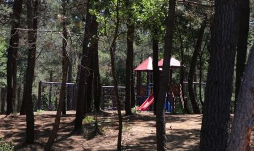 Eski Kaymakam Ormanda Araç İçerisinde Cinsel İlişkiye Girerken Yakalandı