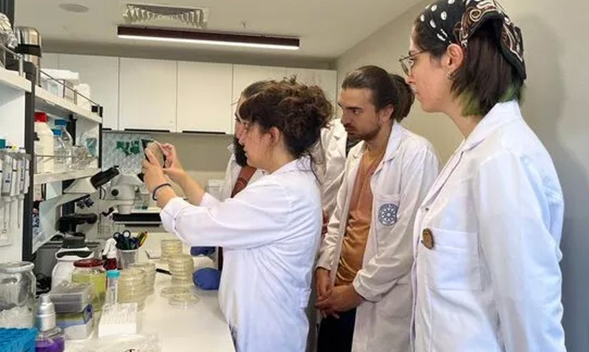 DR. Işıl Tulum açıkladı