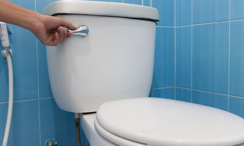 Birçok kişi bunu bilmiyor! Sifonu çektikten sonra klozetin kapağını kapatmamak o hastalığa neden oluyor