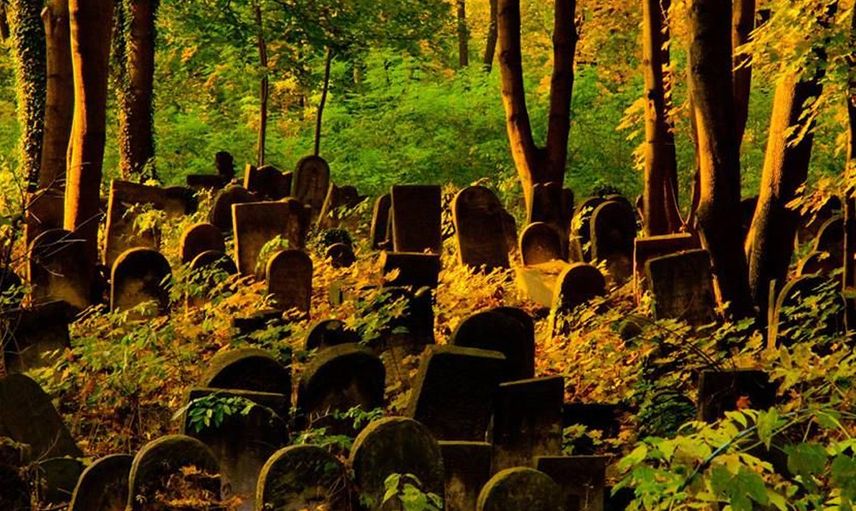 Artvin'de 10 yıl sonra eşini tekrar toprağa verdi!