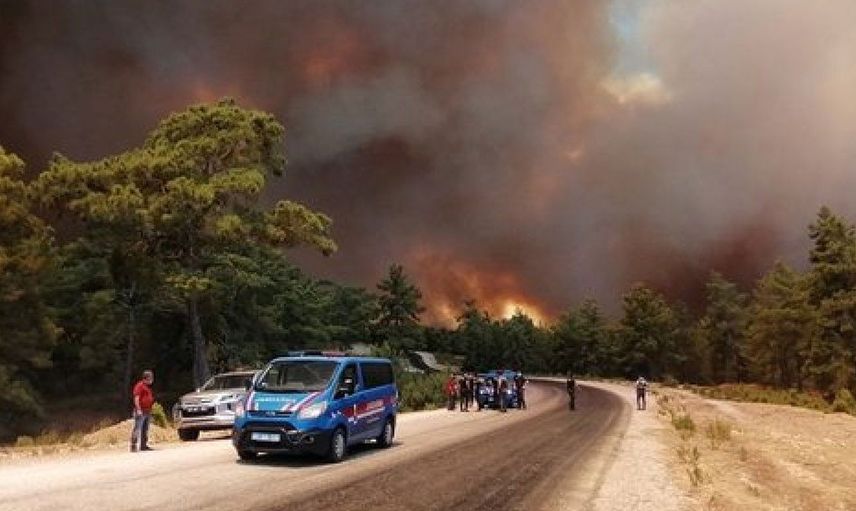 Tarım ve Orman Bakanlığı’ndan Türkiye'nin Ciğerini Yakan Orman Yangınlarıyla İlgili Açıklama