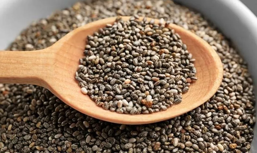 Chia Tohumu