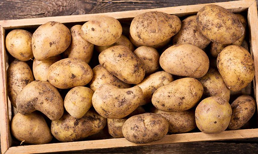 Patates