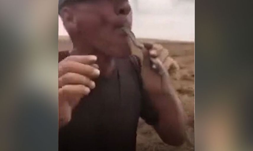 Rusya'da arkadaşlarına gösteriş yapmak için ağzına yılan sokan adamın hazin sonu