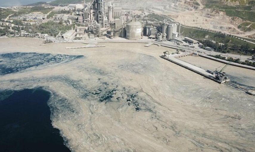 İzmit Körfezi Deniz Salyası ile Kaplandı