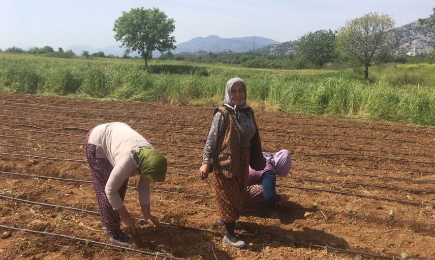 Son Dakika: Tarım ve Orman Bakanı Bekir Pakdemirli Çiftçiye Destek Müjdesini Açıkladı! Ödemeler Ne Zaman?