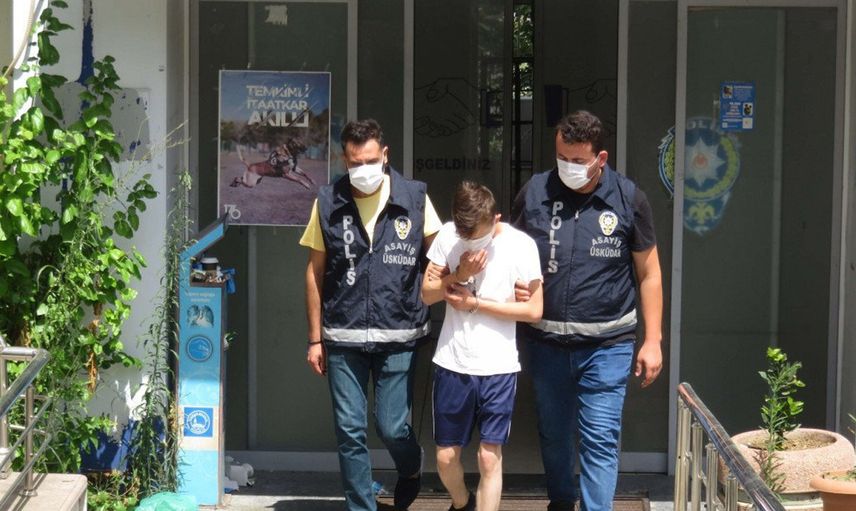 Üsküdar'da Kediyi İşkence Ederek Öldüren Şahıs Tutuklandı