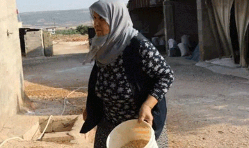 Yapamazsın Diyenlere İnat Gaziantepli Kadın Tek Başına Çiftlik Yönetiyor