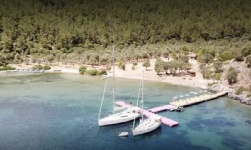 Mandıra Filozofu'nun Çekildiği Bölge Küle Döndü!