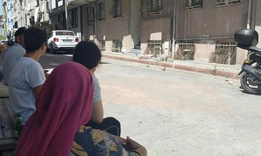 İstanbul’da şehrin içinde yılan görüldü