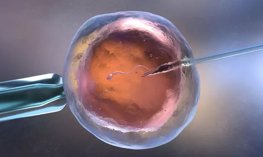 NAdir görülen genetik hastalık
