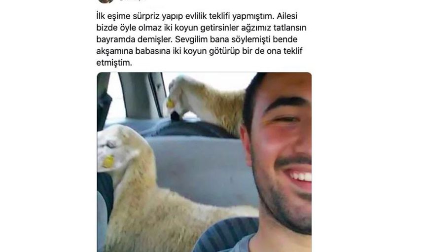 Şimdiye kadar yapılmış en ilginç evlilik teklifleri
