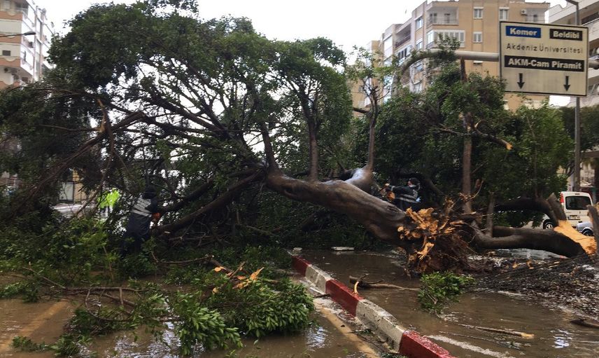 Antalya'da Beklenen Oldu! Fırtına ve Sağanak Etkisni Gösterdi