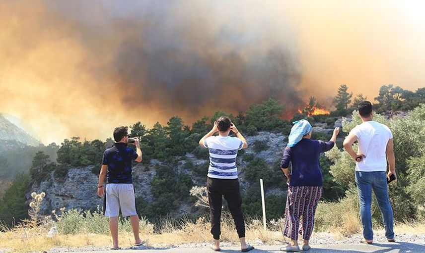 Muğla’daki orman yangınları en çok o ürünü vurdu! Üreticiler uyardı: ‘Fiyatlar yükselecek insanlar iflas edecek’