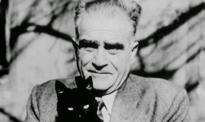Ahmet Hamdi Tanpınar Kimdir?