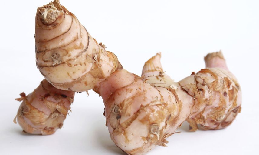 Kalbi Koruyan Havlıcan Nedir?