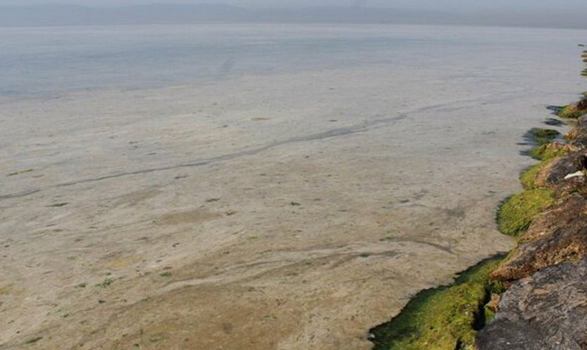İzmit Körfezi Deniz Salyası ile Kaplandı