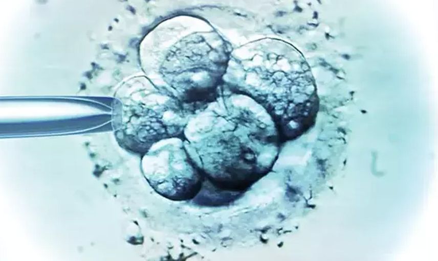 34 yıl önce doğurganlık tedavisi için gittiği doktor bebeğinin babası çıktı! Meğer hamile kalması için kendi spermlerini…