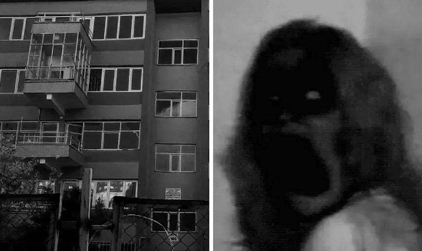 4- 129 No'lu Apartman