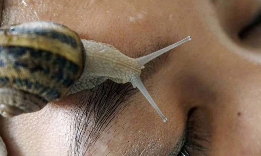 Bakteri ve virüslere karşı koruma 