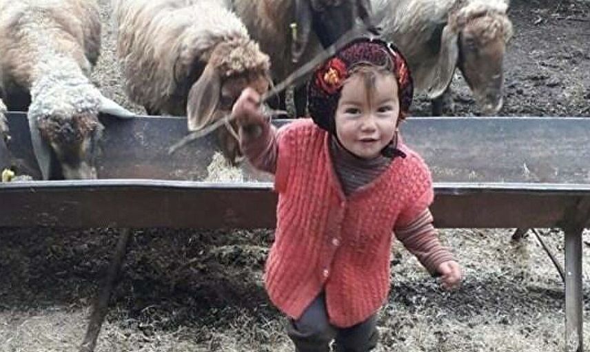 MÜSLÜME CİNAYETİ
