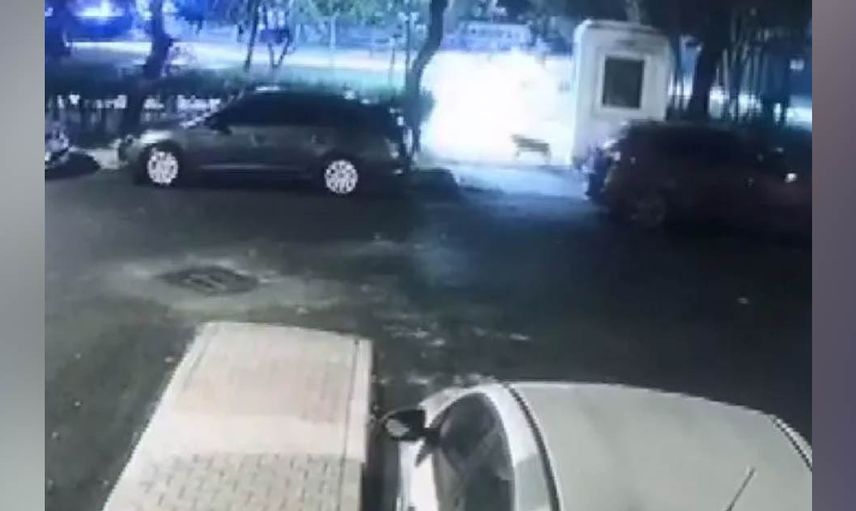 Gözaltına alındılar
