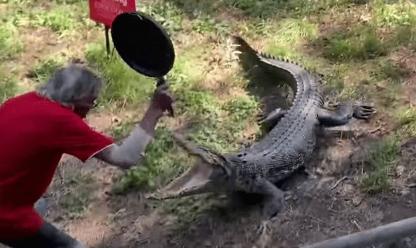 Restoran işletiyor