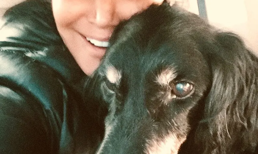 Yonca Evcimik Kayıp Köpeği Dido’ya Kavuştu
