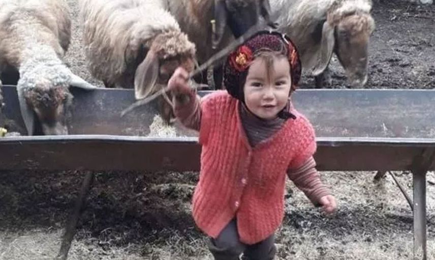 Yörük Kızı Müslüme Cinayetinde Kan Donduran İtiraf Anneanneden Geldi