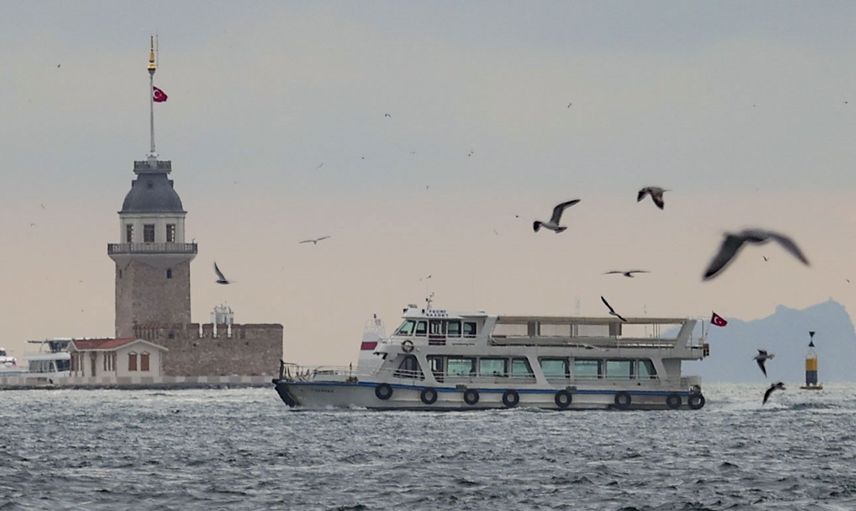 Yunusların İstanbullulara görsel şöleni