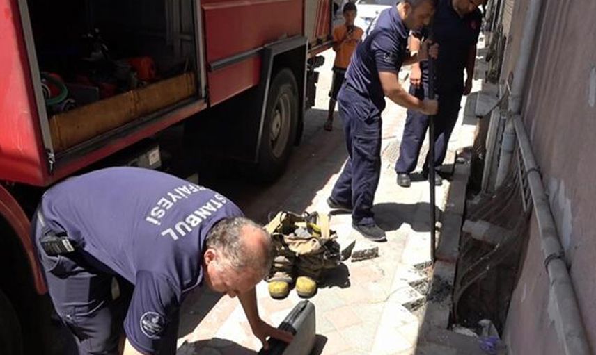 İstanbul’da şehrin içinde yılan görüldü