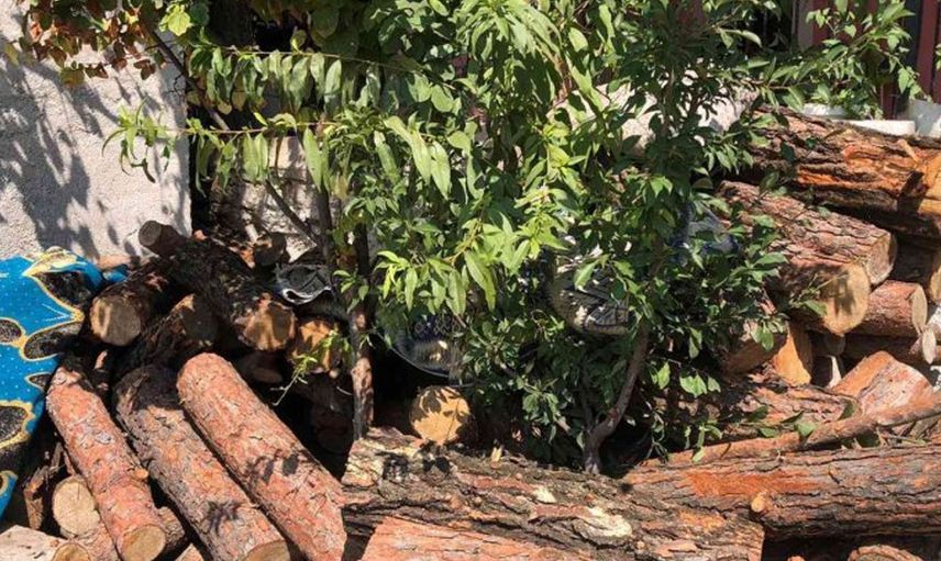 Adana'da neler oluyor? 4 günde 3 ceset bulundu halk korku içinde