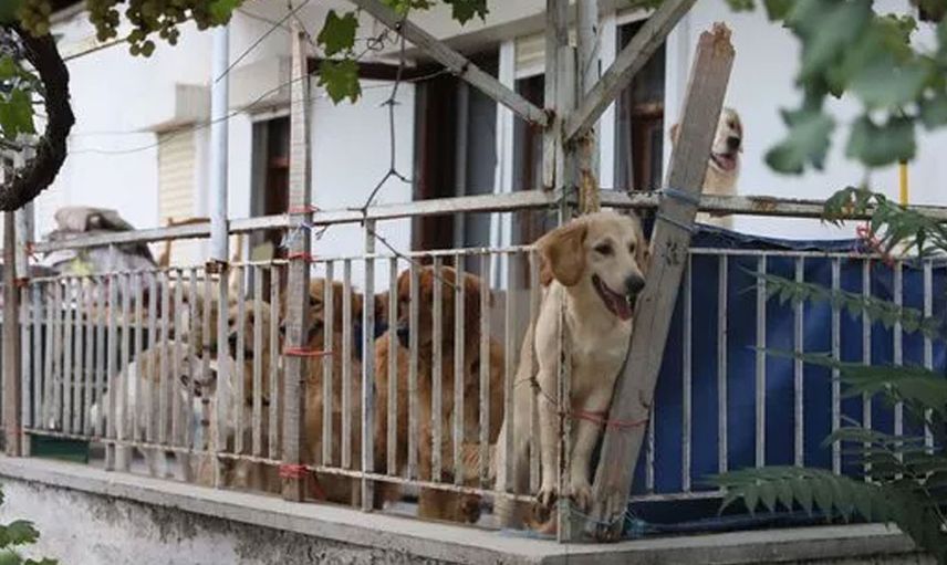 Antalya'da akıllara durgunluk veren olay! Günlerce kilitli tutuldukları evde birbirlerini yemek zorunda kaldılar