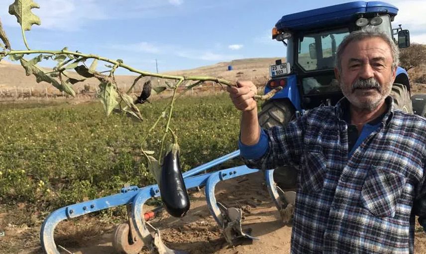 Elazığ’da Yaşayan Çiftçi Tarlasını İhtiyaç Sahiplerine Açtı: 7 Ton Sebzeyi Ücretsiz Dağıttı
