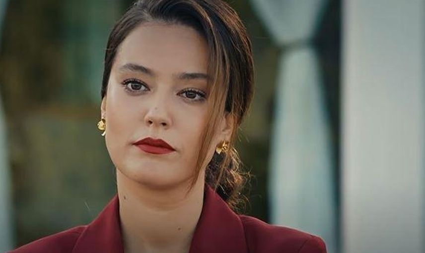 Pelin Akil dizileri ve filmleri?
