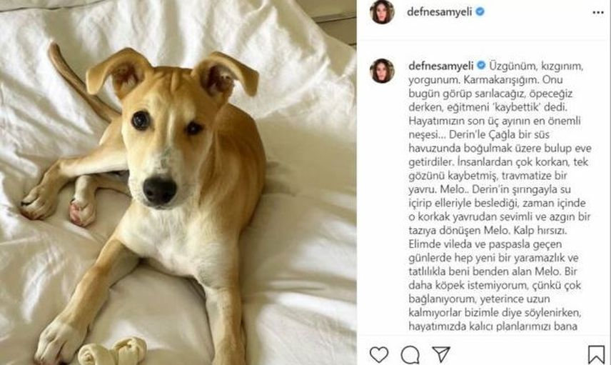 Defne Samyeli'nin "Kalp Hırsızı" Hayatını Kaybetti!