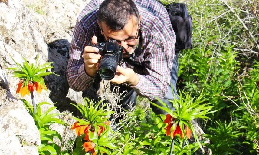 Laleler doğanın gizli yerlerinde bulunuyorlar!