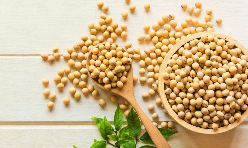 Soya
