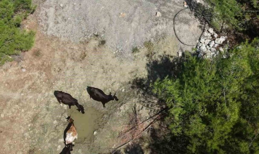 Menteşe'deki kırsal mahallelerde kesintisiz su arzı için yeni yatırımlar