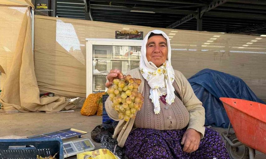 Çivril'de koçak üzümü sezonu başladı: Soğuk havaya dayanıklılığıyla dikkat çekiyor
