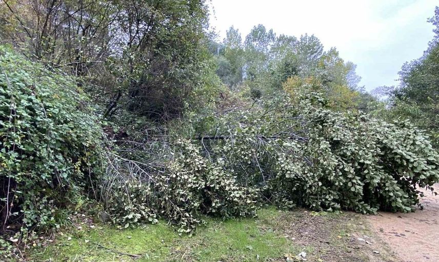 Kocaeli'de istinat duvarı çöktü: Çocuk parkı toprak kaymasıyla harabe oldu