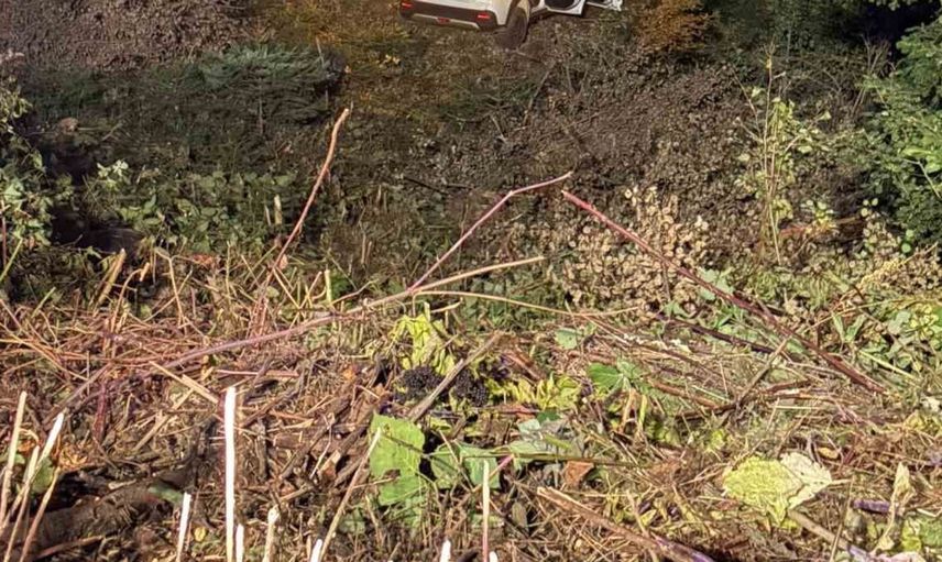 Bolu'da otomobil uçuruma devrildi: Dört kişi yaralı