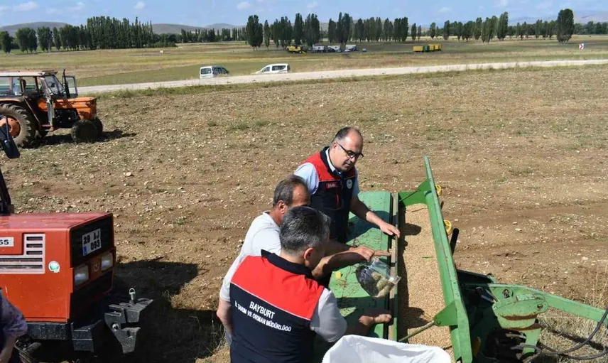 Bayburt'ta 50 dekar alanda suni mera tesisi kuruldu