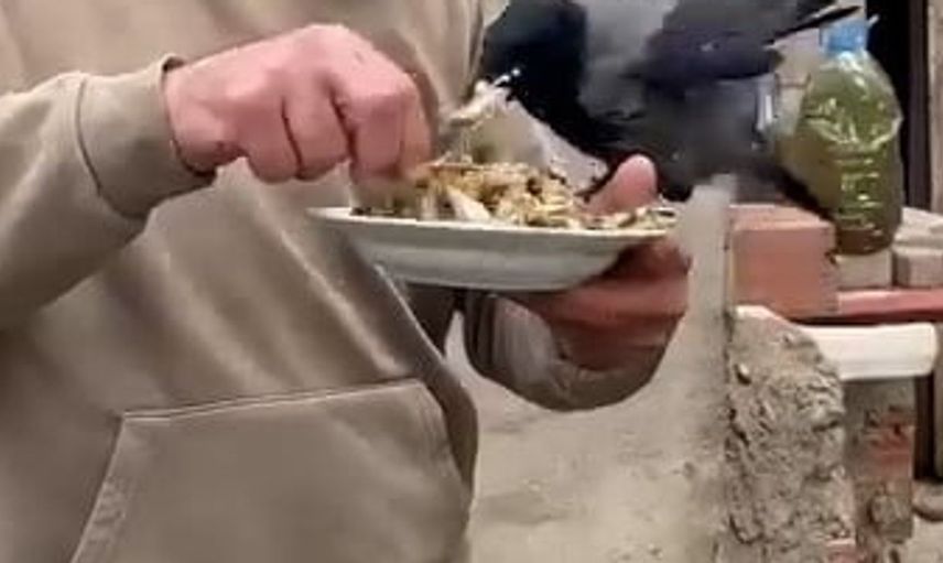 Uzun yol şoförünün kargasına olan sevgisi içleri ısıtıyor