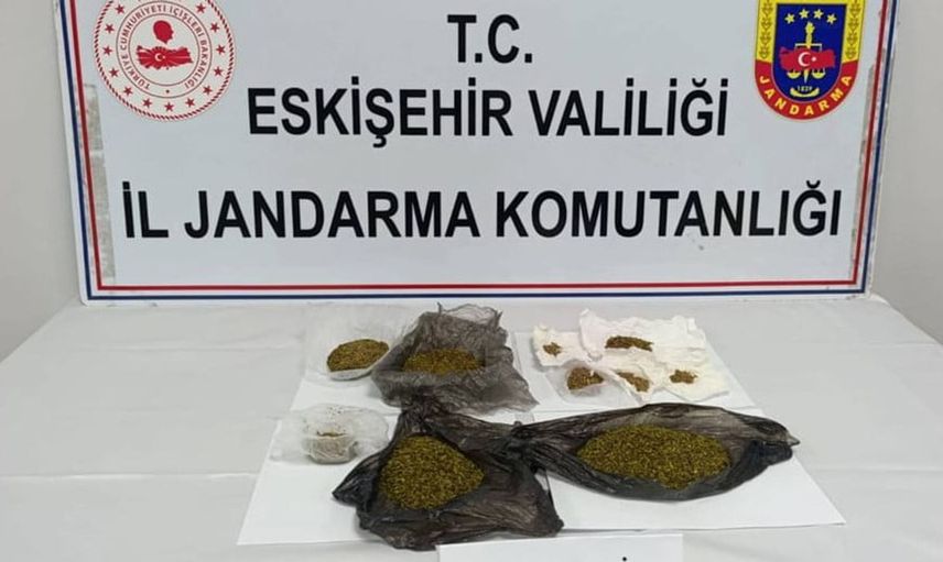 Eskişehir'de şüpheli aracın içinde yapılan aramada bonzai ele geçirildi