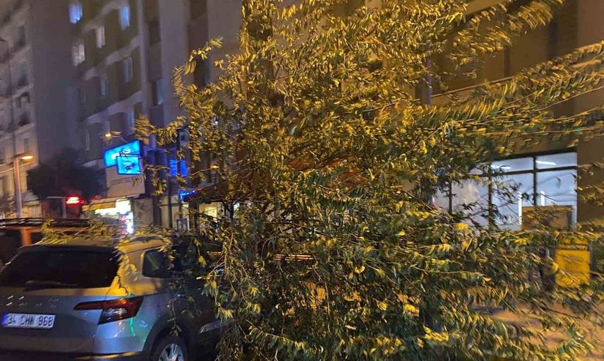Bandırma'da kuvvetli rüzgar vatandaşları tedirgin etti