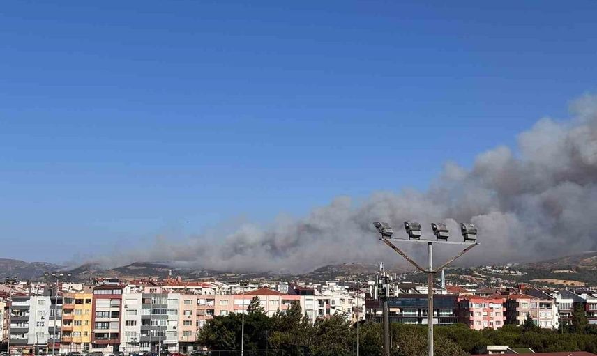 Çanakkale'de orman yangınına havadan ve karadan müdahale ediliyor