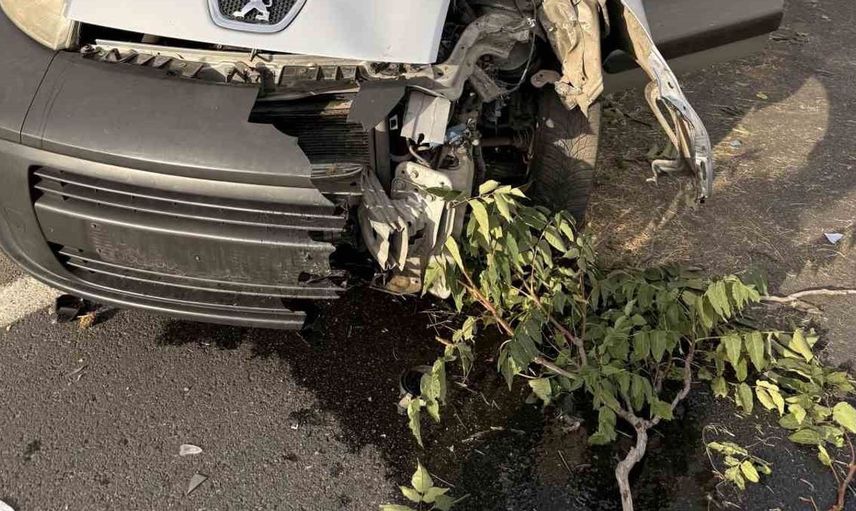 Bingöl’de ticari araç kaza yaptı: Sürücü yaralandı